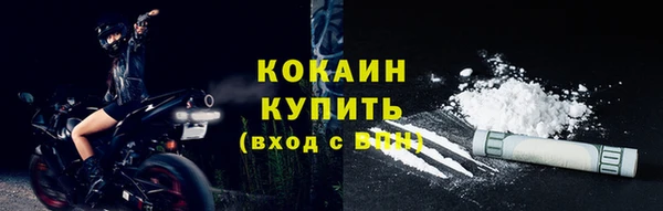 сатива Лагань