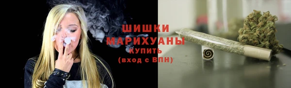 индика Лихославль