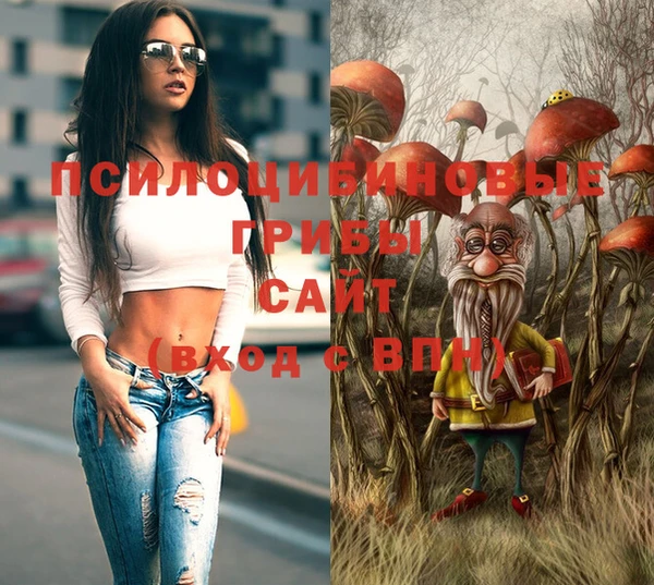 ПСИЛОЦИБИНОВЫЕ ГРИБЫ Домодедово