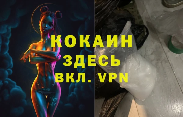 сатива Лагань
