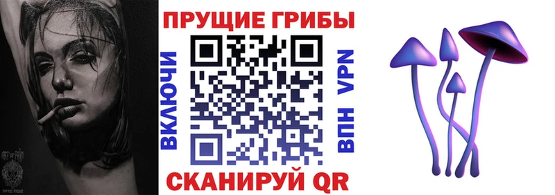 купить   Чекалин  Псилоцибиновые грибы мухоморы 
